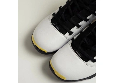 Jordan 17 Low Air FJ0395-100 “Lightning” 0928